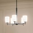 Shailene 24  5-Light Chandelier with Clear Satin Etched Glass, Black Finish Online