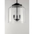 Acadia 16 in. 3 Lights Pendant Light Black Finish Cheap