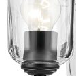 Shailene 24  5-Light Chandelier with Clear Glass, Black Finish Fashion