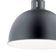 Zailey 16 in. Pendant Light Black Finish Supply