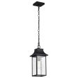 Austen 17  Outdoor Hanging Light, Matte Black Finish Online Sale