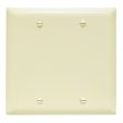 TradeMaster 2-Gang Blank Wall Plate Online Sale