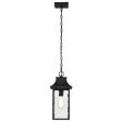 Austen 17  Outdoor Hanging Light, Matte Black Finish Online Sale