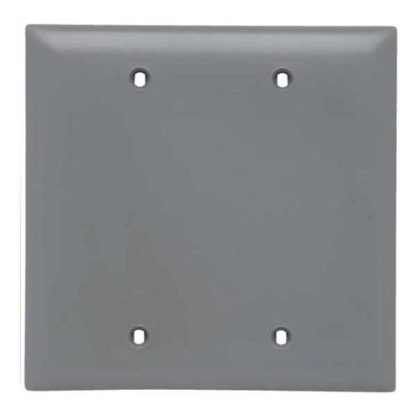 TradeMaster 2-Gang Blank Wall Plate Online Sale