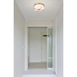 Roselle 15  Flush Mount Light Online now