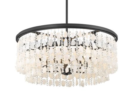 Shimmering Elegance 28  5 Lights Chandelier Light Black Finish For Discount