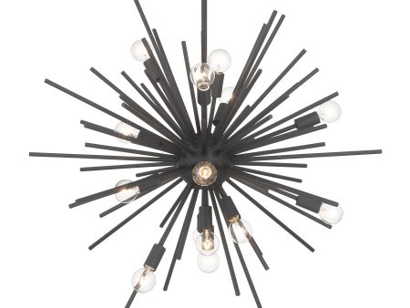 Bessel 30  15 Lights Pendant Light Black Finish Discount