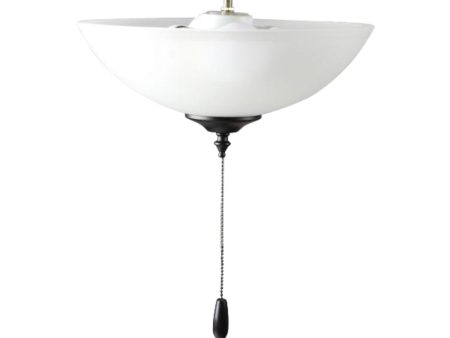 13 Inch 2 Lights LED Ceiling Fan Light Kit, Black Finish Online now