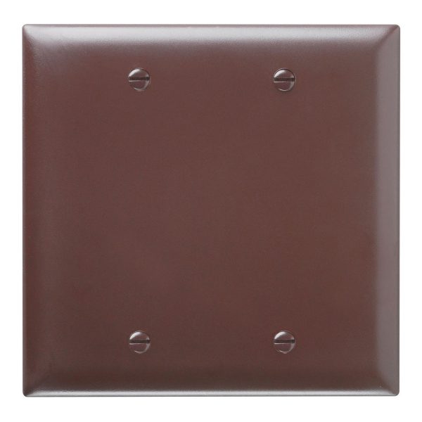 TradeMaster 2-Gang Blank Wall Plate Online Sale