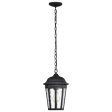 East River 15  Outdoor Hanging Light, Matte Black Finish For Discount