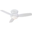 Traditional Concept 44  Ceiling Fan Fashion