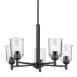 Shailene 24  5-Light Chandelier with Clear Glass, Black Finish Fashion