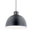 Zailey 16 in. Pendant Light Black Finish Supply