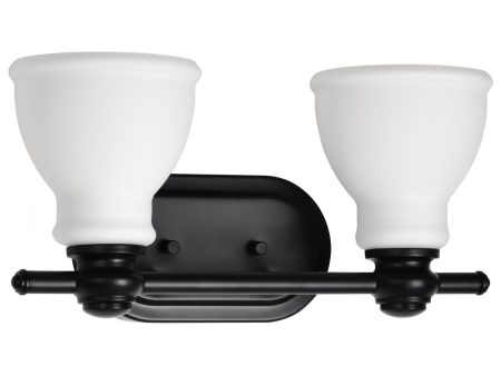 Russel Bathroom Vanity Light, Matte Black Finish For Sale