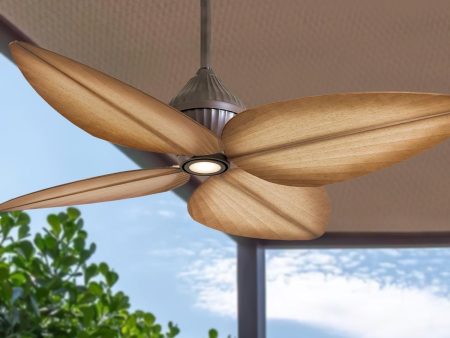 Gauguin 52  Ceiling Fan Online Sale