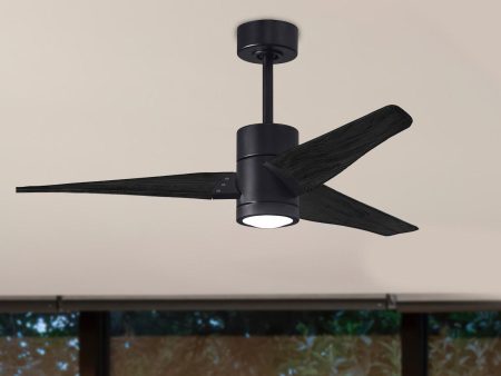 Super Janet 52  LED Ceiling Fan Discount