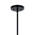 Velestino 20  4-Light Chandelier, Black Finish For Cheap