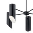 Trentino 26  5-Light Chandelier, Black Finish Fashion