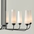 Truby 38  9-Light Chandelier, Black Finish Online Sale