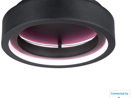 Icorona Wiz 18 in. Smart LED Flush Mount Light RGBW Black Finish Online Hot Sale