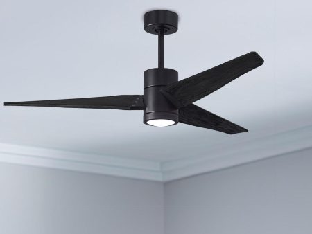 Super Janet 60  LED Ceiling Fan Discount