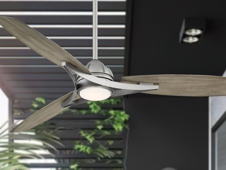 Molino 65  Ceiling Fan Hot on Sale