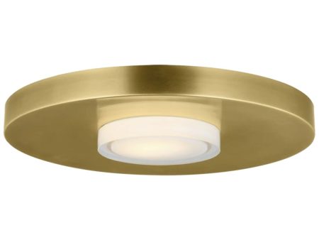 Castor 17 in. LED Flush Mount Light Natural Brass Finish For Discount