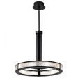 Darrow 24  LED Pendant Light, Matte Black Finish Supply