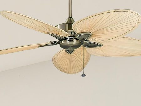 Windpointe 52  Ceiling Fan Discount