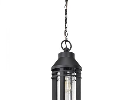 Wilton 20  Outdoor Hanging Light, Matte Black Finish Fashion