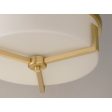 Dart 14 in. Flush Mount Lights Brass Finish Hot on Sale