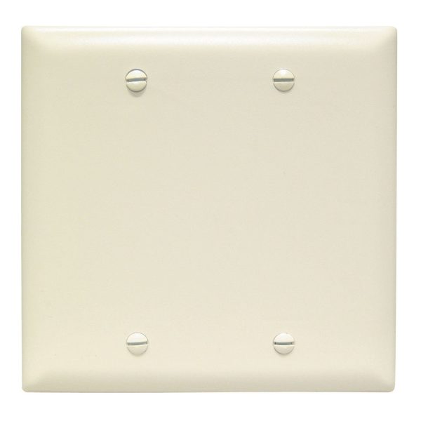 TradeMaster 2-Gang Blank Wall Plate Online Sale