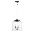 Acadia 16 in. 3 Lights Pendant Light Black Finish Cheap