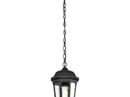 East River 15  Outdoor Hanging Light, Matte Black Finish For Discount