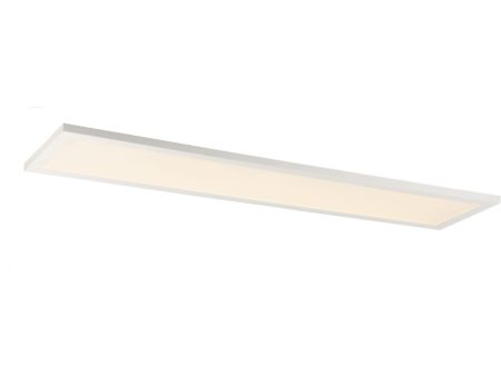 Sky 48 in. LED Rectangular Disk Light 4000K White Online now