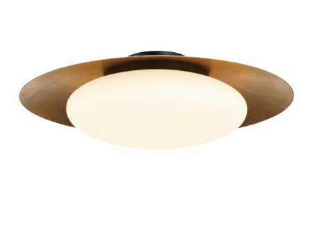 Zinola 24  1 Light LED Flush Mount Gold Finish Discount