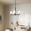 Shailene 24  5-Light Chandelier with Clear Satin Etched Glass, Black Finish Online