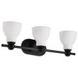 Russel Bathroom Vanity Light, Matte Black Finish For Sale