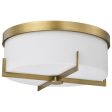 Roselle 15  Flush Mount Light, Natural Brass Finish Cheap