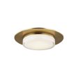 Sen 17 in. LED Flush Mount Light Brass Finish Online now