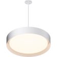 Echo 24 in. LED Pendant Light White finish Online now