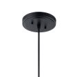 Zailey 16 in. Pendant Light Black Finish Supply