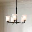 Shailene 24  5-Light Chandelier with Clear Satin Etched Glass, Black Finish Online