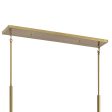 Torvee 41  5-Light Linear Chandelier, Brushed Natural Brass Finish Online Sale