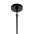 Trentino 26  9-Light Chandelier, Black Finish Online now